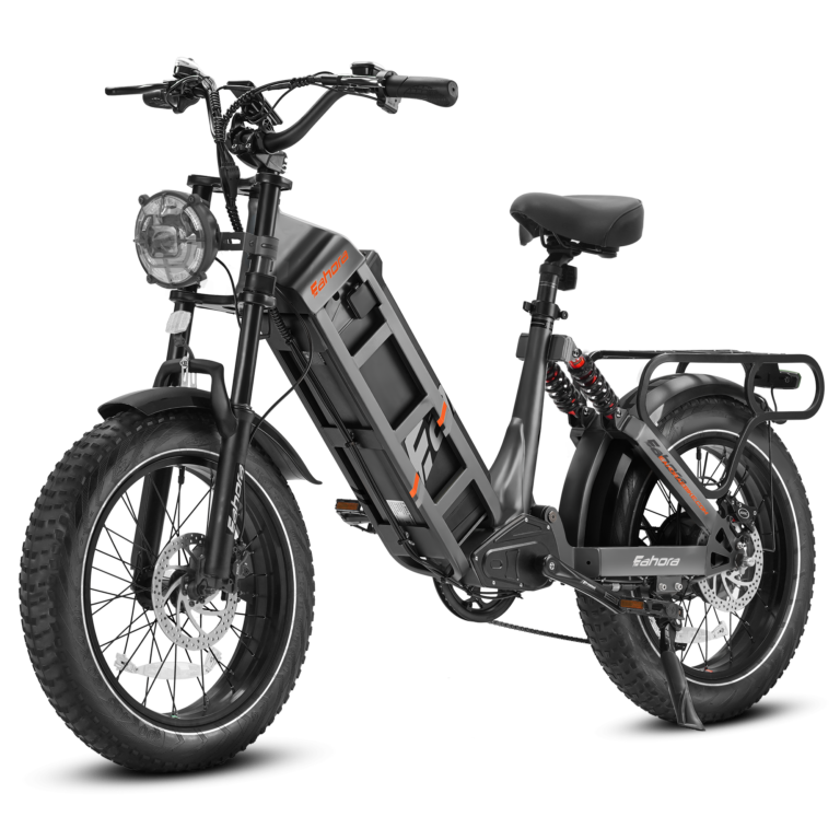 Eahora Juliet 1000W Electric Bike Review