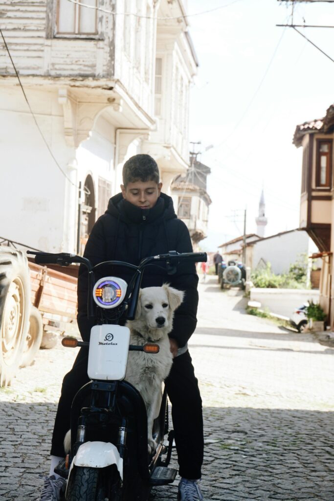 Exploring the New Era of Ebikes: The Power Goat V2 Electric Scooter Review