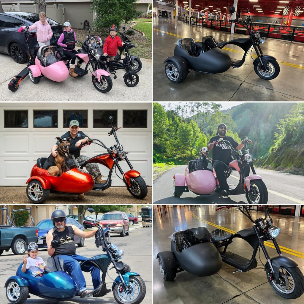 eAhora M1P Sidecar Electric Motorcycle for Adult, 2000W Motor 37mph, 40+ Miles Range on 30Ah Lithium Battery, Full Suspension and Hydraulic Brakes, 2 Person Ride