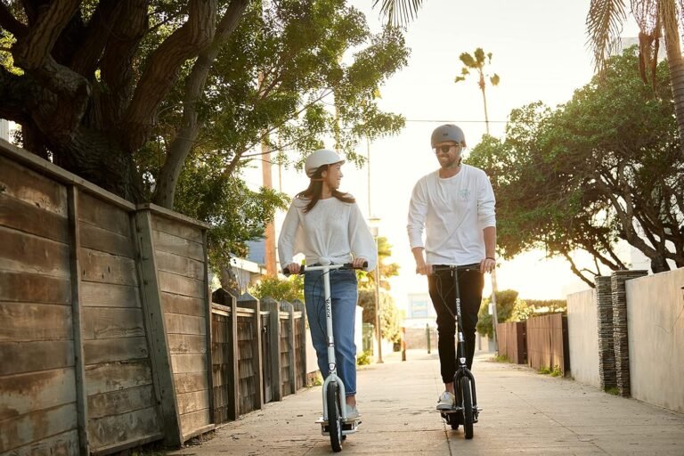 EcoSmart SUP Electric Scooter Review